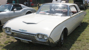 Thunderbird