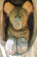 little bear