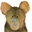 little bear