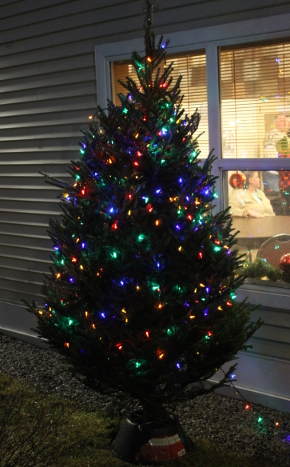 Christmas tree lighting