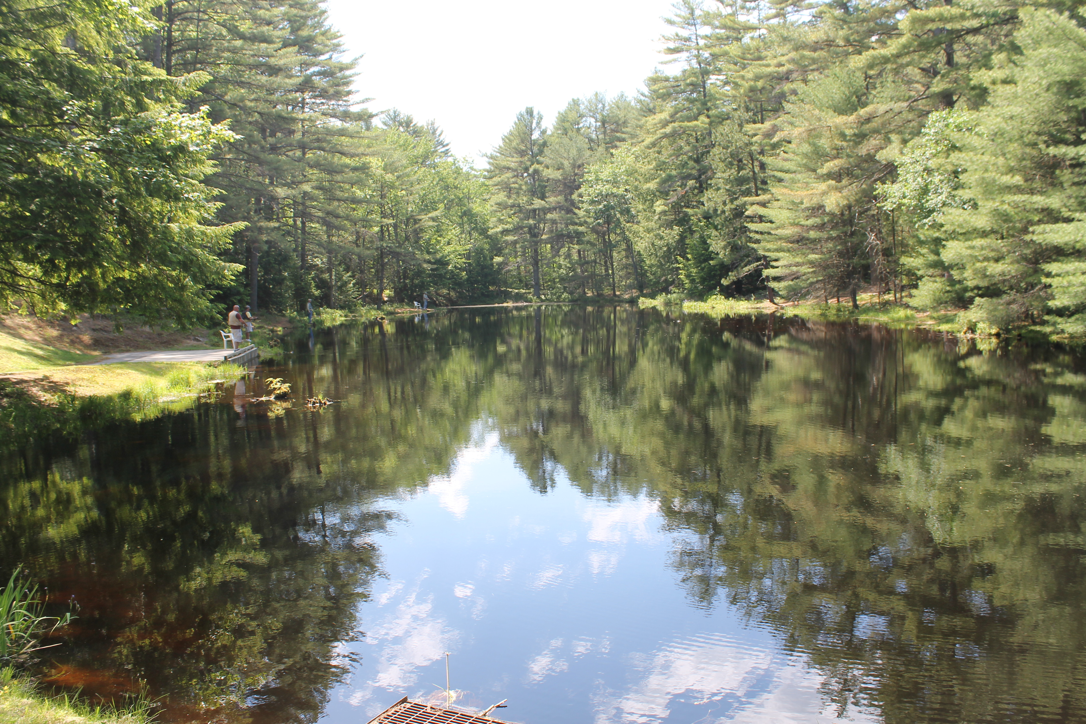 fly-fish-pond-IMG_2276
